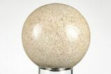 Polished Agatized Dinosaur (Gembone) Sphere - Morocco #198500-1